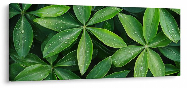 Slika - Listovi s kapima rose (120x50 cm)