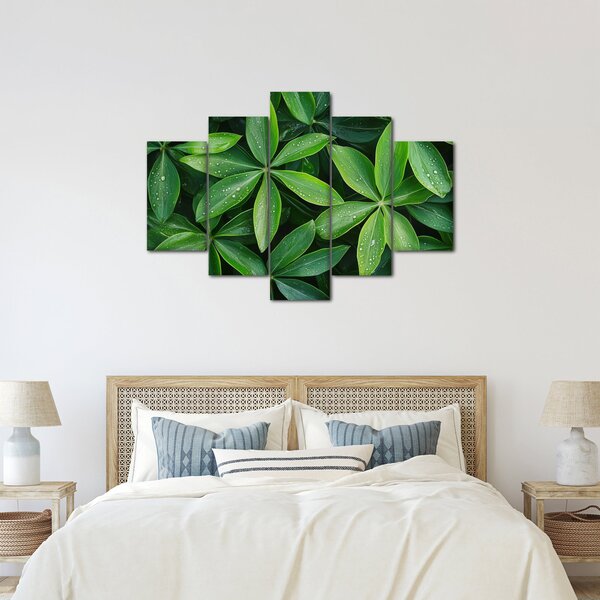 Slika - Listovi s kapima rose (150x105 cm)
