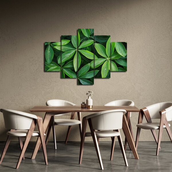 Slika - Listovi s kapima rose (150x105 cm)