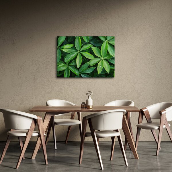 Slika - Listovi s kapima rose (70x50 cm)