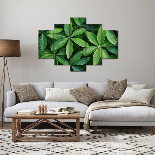 Slika - Listovi s kapima rose (150x105 cm)