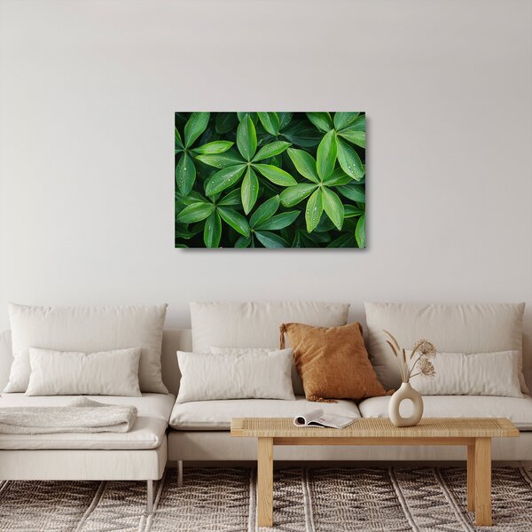 Staklena slika - Listovi s kapima rose (70x50 cm)