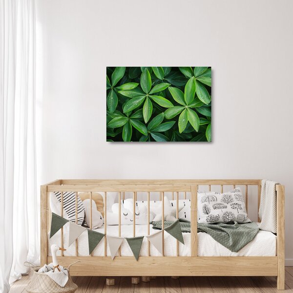Staklena slika - Listovi s kapima rose (70x50 cm)