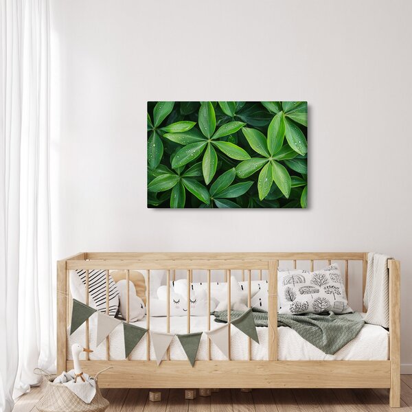 Slika - Listovi s kapima rose (90x60 cm)