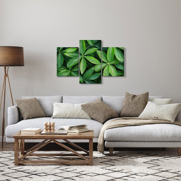 Slika - Listovi s kapima rose (90x60 cm)