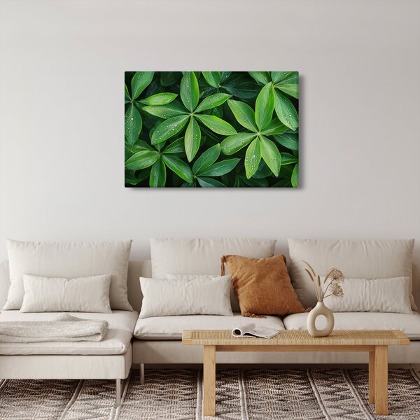 Slika - Listovi s kapima rose (90x60 cm)