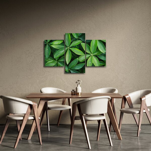 Slika - Listovi s kapima rose (90x60 cm)