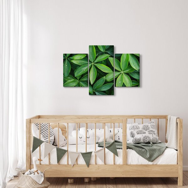 Slika - Listovi s kapima rose (90x60 cm)