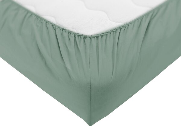 Dormeo Essentials plahta s gumicom Zelena
