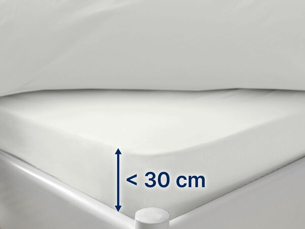 Dormeo Essentials plahta s gumicom Krem