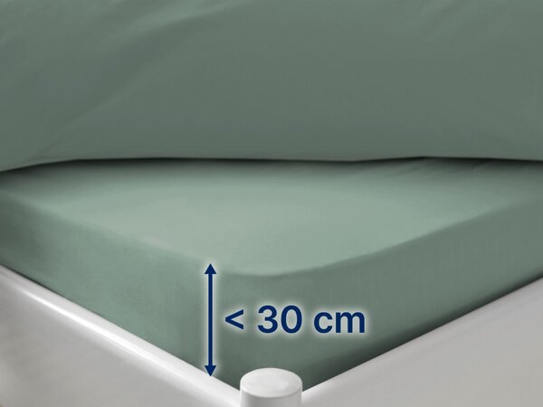 Dormeo Essentials plahta s gumicom Zelena