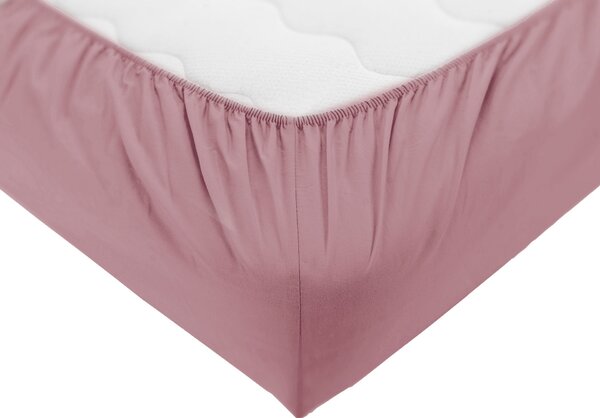Dormeo Essentials plahta s gumicom Roza