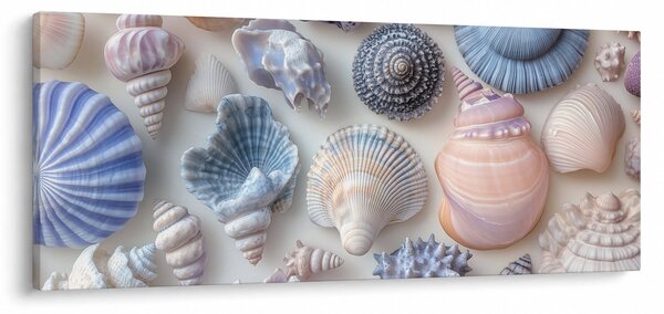 Slika - Zbirka školjaka (120x50 cm)