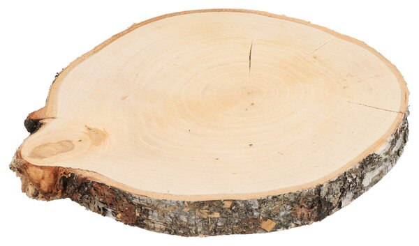 ATMOWOOD Drveni podmetač od debla breze 24-28 cm