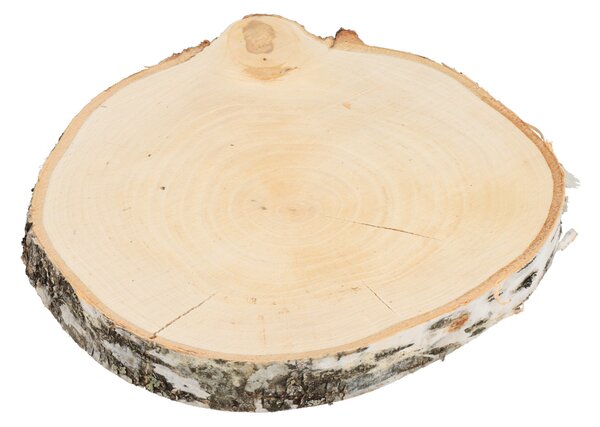 ATMOWOOD Drveni podmetač od debla breze 24-28 cm