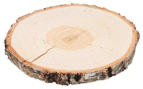 ATMOWOOD Drveni podmetač od debla breze 24-28 cm