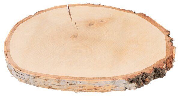 ATMOWOOD Drveni podmetač od debla breze 33-38 cm