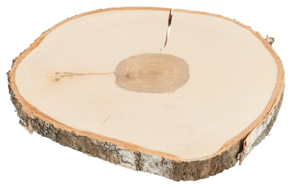 ATMOWOOD Drveni podmetač od debla breze 33-38 cm
