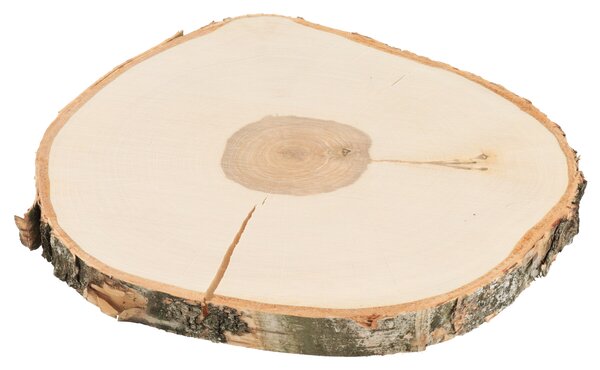 ATMOWOOD Drveni podmetač od debla breze 33-38 cm