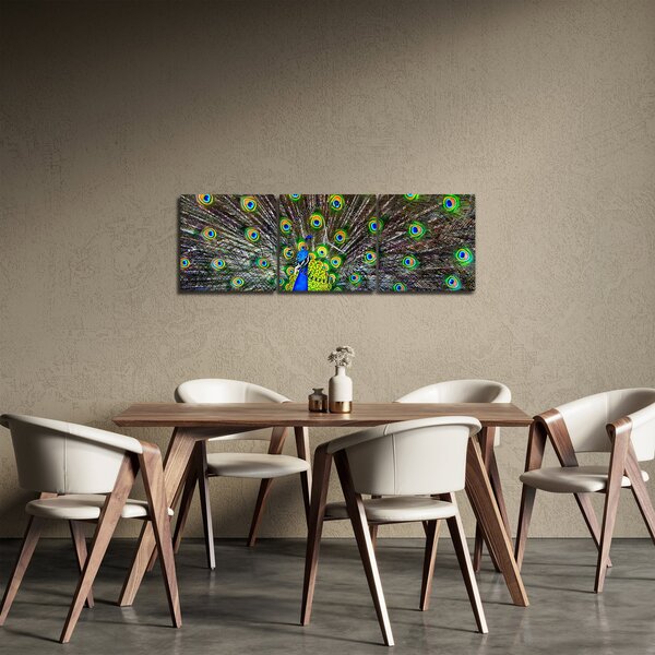 Slika - Paun (sa satom) (90x30 cm)