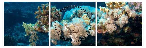 Slika - U oceanu (sa satom) (90x30 cm)