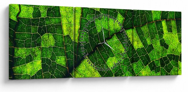 Slika - Detalj lista (sa satom) (90x30 cm)