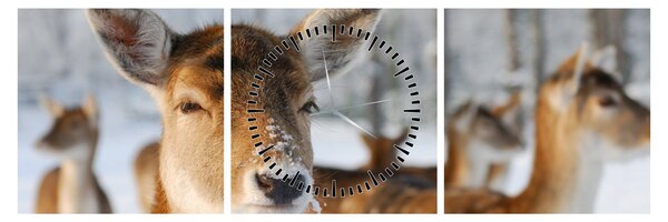 Slika -Bambi (sa satom) (90x30 cm)