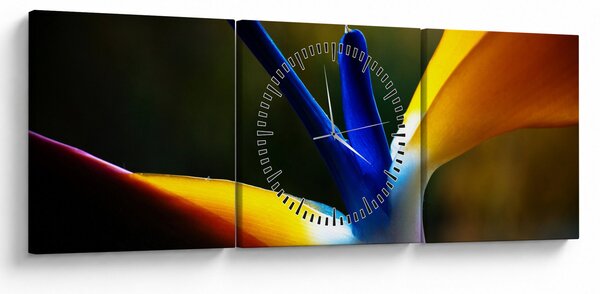 Slika - Egzotični cvijet (sa satom) (90x30 cm)