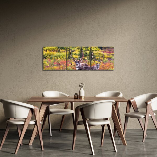 Slika - Karibu na Aljasci (sa satom) (90x30 cm)