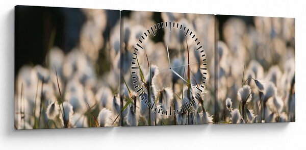 Slika - Bijeli svračak (sa satom) (90x30 cm)
