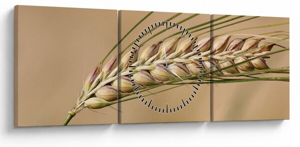 Slika - Pšenica (sa satom) (90x30 cm)