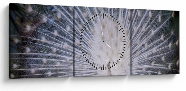 Slika - Bijeli paun (sa satom) (90x30 cm)