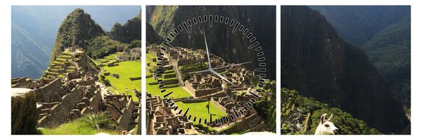 Slika - Lame u Machu Picchu (sa satom) (90x30 cm)