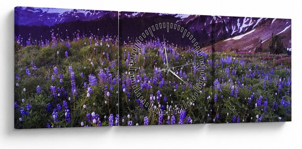 Slika - Vulkan i cvijeće (sa satom) (90x30 cm)