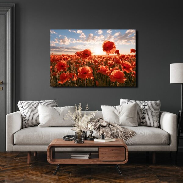 Slika makovi na zalasku sunca