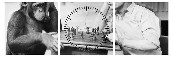 Slika - Cirkus 2 (sa satom) (90x30 cm)