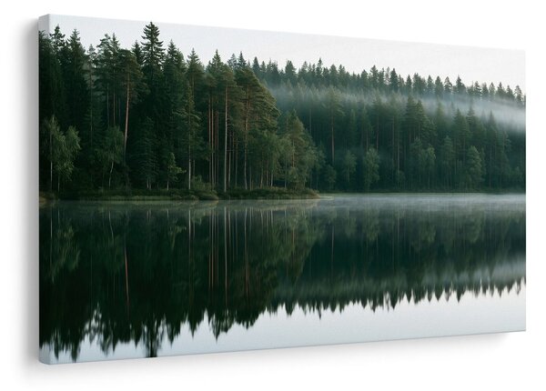 Slika maglovito jezero u šumi