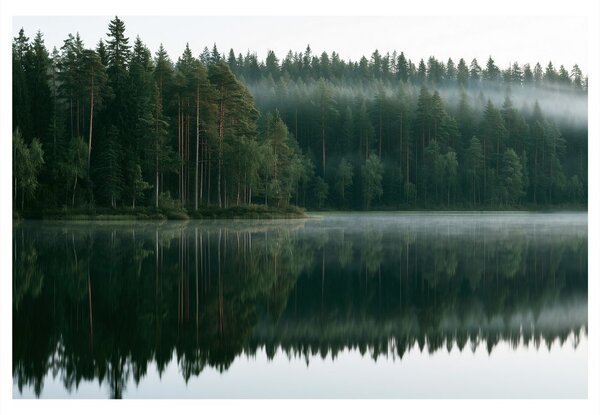Slika maglovito jezero u šumi