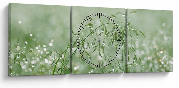 Slika - Rosa u travi (sa satom) (90x30 cm)