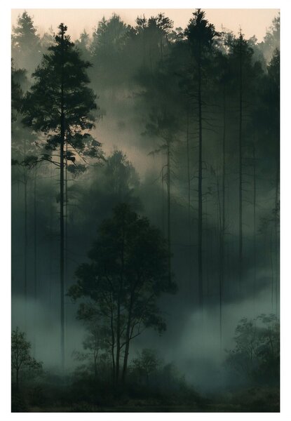 Slika tihi šumski krajolik u izmaglici