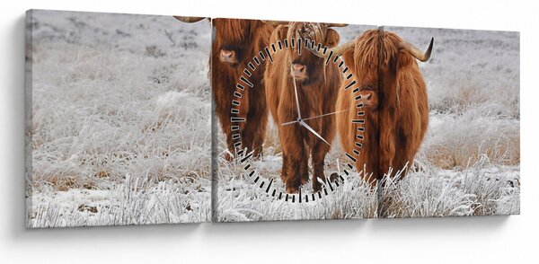 Slika - Škotske krave (sa satom) (90x30 cm)