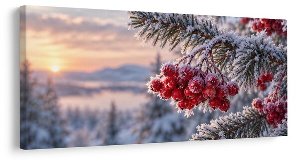 Slika injem prekrivene crvene bobice u zoru