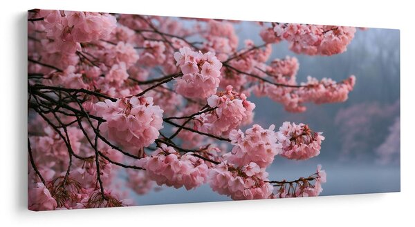 Slika rascvjetana sakura nad mirnom vodom