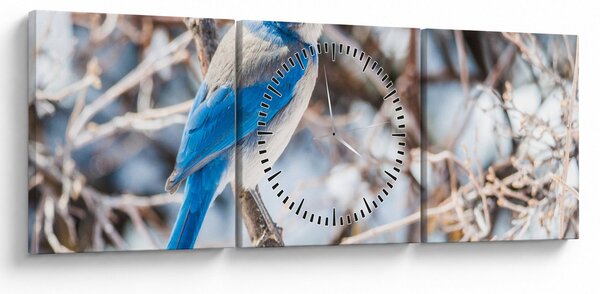 Slika - Zimska ptica (sa satom) (90x30 cm)