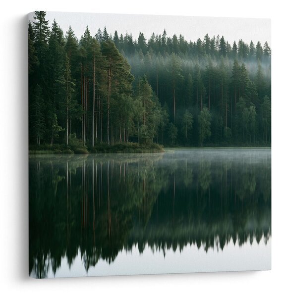 Slika jutarnja izmaglica nad jezerom