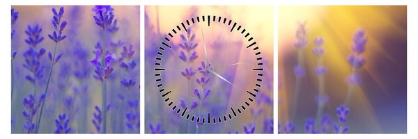 Slika - Lavanda (sa satom) (90x30 cm)