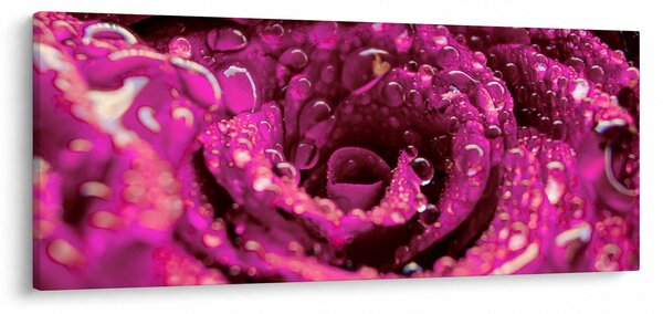 Slika cvijeta ružičaste ruže (120x50 cm)