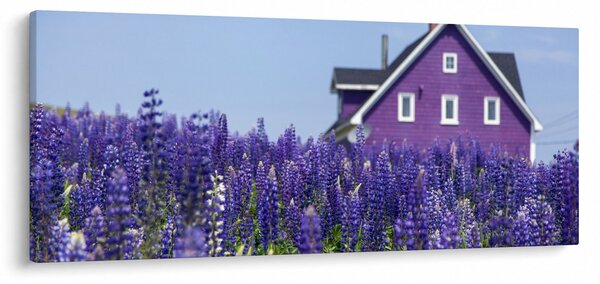 Slika polja lavande (120x50 cm)
