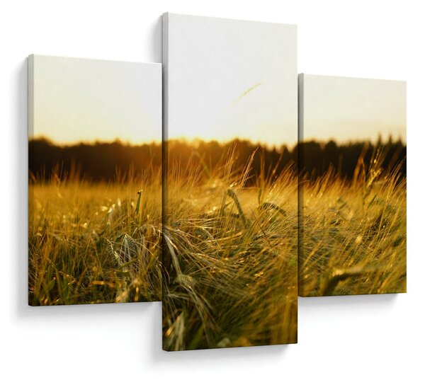 Slika rosne trave (90x60 cm)