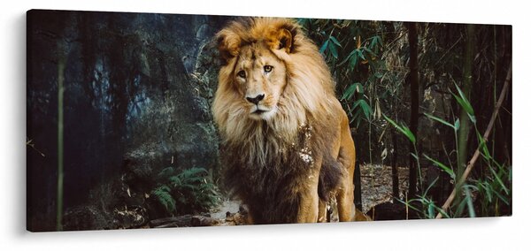 Slika lava u prirodi (120x50 cm)